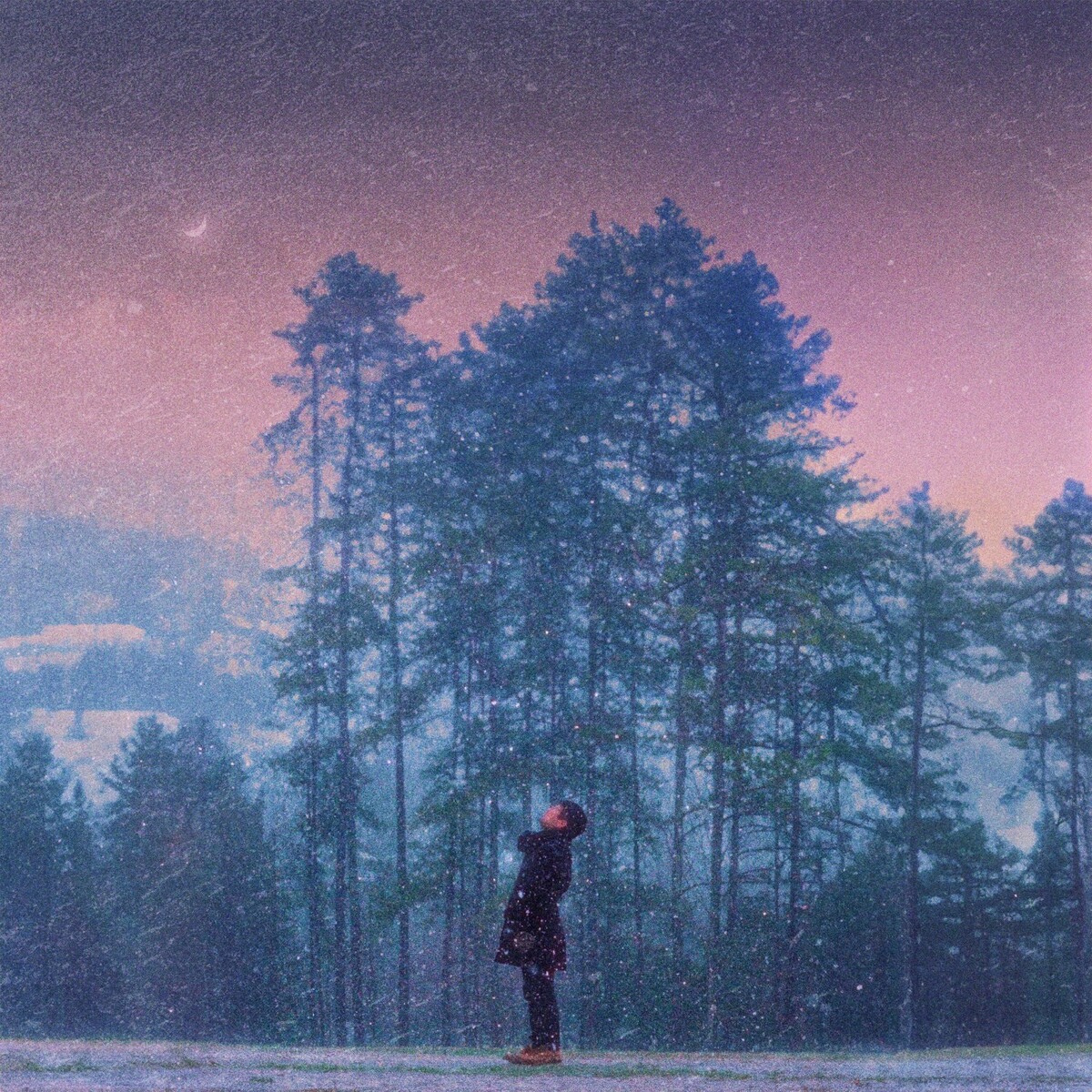 Image Cover